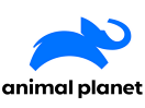 Animal Planet